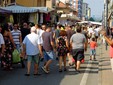 Cossato, San Rocco tra festa e siccità: "Preghiamo anche per la pioggia" Cossato, San Rocco tra festa e siccità: "Preghiamo anche per la pioggia"