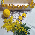 Nell’immagine d’archivio: composizione di pizzi e mimose preparata dalle “feminas” di “Su Nuraghe” per la Festa della Donna