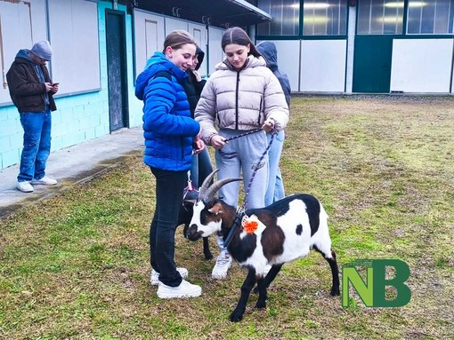 Sant’Antonio Abate, anche Castelletto Cervo celebra la tradizione - Servizio di Riccardo Tosi per newsbiella.it Sant’Antonio Abate, anche Castelletto Cervo celebra la tradizione - Servizio di Riccardo Tosi per newsbiella.it