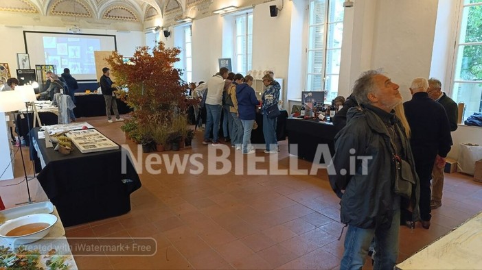 A Biella si celebra l’eccellenza artigiana con la decima edizione di Fatti ad Arte (servizio di Mattia Baù in esclusiva per Newsbiella.it)