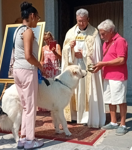 Cossato, San Rocco tra festa e siccità: "Preghiamo anche per la pioggia" Cossato, San Rocco tra festa e siccità: "Preghiamo anche per la pioggia"
