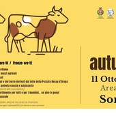 Fiera Autunnale a Sordevolo, la tradizione è di nuovo protagonista