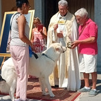 Cossato, San Rocco tra festa e siccità: "Preghiamo anche per la pioggia" Cossato, San Rocco tra festa e siccità: "Preghiamo anche per la pioggia"
