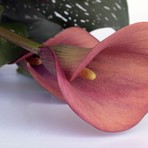 Gaglianico ricorda Don Alberto De Toni e Antonio Bressan, due amici dello sport biellese Gaglianico ricorda Don Alberto De Toni e Antonio Bressan, due amici dello sport biellese