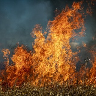 Strona: Brucia sterpaglie e il denso fumo invade l'area. Sanzionato dalla forestale - Foto repertorio