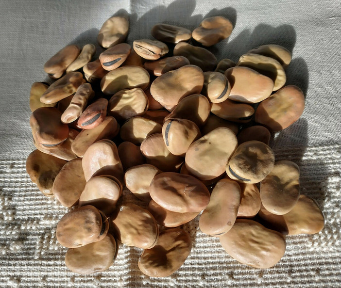 Gran Favata al Circolo “Su Nuraghe”: il Carnevale dei Sardi di Biella si apre con un piatto dalle radici antiche