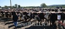 A Borriana si celebra il mondo agricolo: allevatori, artigianato e polenta protagonisti della Fiera Zootecnica (servizio di Davide Finatti in esclusiva per Newsbiella.it)