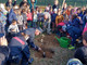 Festa dell’Albero: Legambiente e “Su Nuraghe” con i ragazzi delle scuole di Sandigliano e i Carabinieri forestali di Biella