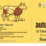Fiera Autunnale a Sordevolo, la tradizione è di nuovo protagonista Fiera Autunnale a Sordevolo, la tradizione è di nuovo protagonista