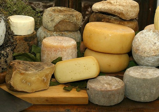 Coldiretti contro l'Europa per l'uso del latte in polvere nella produzione di formaggi