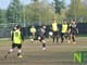 calcio biellese calcio biellese