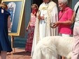 Cossato, San Rocco tra festa e siccità: "Preghiamo anche per la pioggia" Cossato, San Rocco tra festa e siccità: "Preghiamo anche per la pioggia"