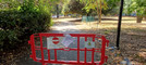 Biella, Giardini Vittorio Emanuele II poco sicuri per caduta rami, scatta la chiusura