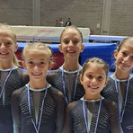Buoni risultati per Ginnastica Biella Buoni risultati per Ginnastica Biella