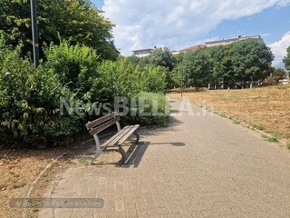 Biella, Giardini Vittorio Emanuele II poco sicuri per caduta rami, scatta la chiusura Biella, Giardini Vittorio Emanuele II poco sicuri per caduta rami, scatta la chiusura