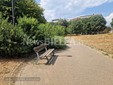 Biella, Giardini Vittorio Emanuele II poco sicuri per caduta rami, scatta la chiusura Biella, Giardini Vittorio Emanuele II poco sicuri per caduta rami, scatta la chiusura