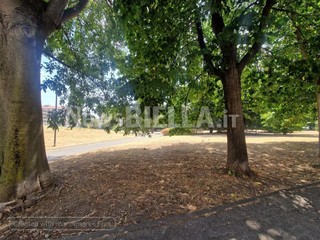 Biella, Giardini Vittorio Emanuele II poco sicuri per caduta rami, scatta la chiusura Biella, Giardini Vittorio Emanuele II poco sicuri per caduta rami, scatta la chiusura