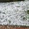 Maltempo, temporali e rischio grandine: è allerta gialla sul Piemonte centro-orientale (foto di repertorio) Maltempo, temporali e rischio grandine: è allerta gialla sul Piemonte centro-orientale (foto di repertorio)
