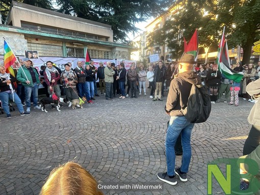 presidio biella presidio biella