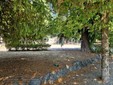 Biella, Lega: "Più controlli ai Giardini Zumaglini con la vigilanza rafforzata" Biella, Lega: "Più controlli ai Giardini Zumaglini con la vigilanza rafforzata"