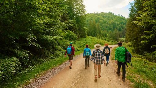 "Conduttori di Gruppi di Cammino": ASL BI promuove il movimento "Conduttori di Gruppi di Cammino": ASL BI promuove il movimento