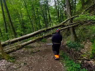 Gorgomoro, sentiero di nuovo accessibile dopo l’intervento dei volontari AIB Biella Orso FOTO AIB Biella Orso