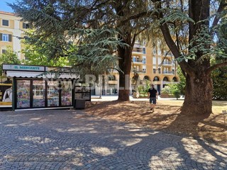 Biella, Lega: "Più controlli ai Giardini Zumaglini con la vigilanza rafforzata" Biella, Lega: "Più controlli ai Giardini Zumaglini con la vigilanza rafforzata"