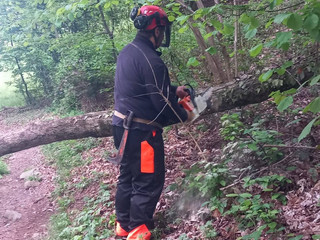 Gorgomoro, sentiero di nuovo accessibile dopo l’intervento dei volontari AIB Biella Orso FOTO AIB Biella Orso