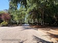 Biella, Lega: "Più controlli ai Giardini Zumaglini con la vigilanza rafforzata" Biella, Lega: "Più controlli ai Giardini Zumaglini con la vigilanza rafforzata"