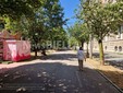 Biella, Lega: "Più controlli ai Giardini Zumaglini con la vigilanza rafforzata" Biella, Lega: "Più controlli ai Giardini Zumaglini con la vigilanza rafforzata"