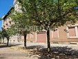 Biella, Lega: "Più controlli ai Giardini Zumaglini con la vigilanza rafforzata" Biella, Lega: "Più controlli ai Giardini Zumaglini con la vigilanza rafforzata"