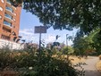 Biella, Giardini Vittorio Emanuele II poco sicuri per caduta rami, scatta la chiusura Biella, Giardini Vittorio Emanuele II poco sicuri per caduta rami, scatta la chiusura