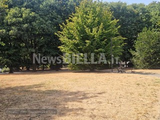 Biella, Giardini Vittorio Emanuele II poco sicuri per caduta rami, scatta la chiusura Biella, Giardini Vittorio Emanuele II poco sicuri per caduta rami, scatta la chiusura