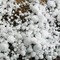 Allerta gialla per temporali, rischio grandine anche a Biella (foto di repertorio) Allerta gialla per temporali, rischio grandine anche a Biella (foto di repertorio)