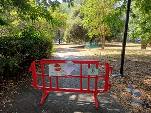 Biella, Giardini Vittorio Emanuele II poco sicuri per caduta rami, scatta la chiusura