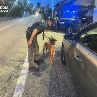Guardia di Finanza, a Biella controlli antidroga: sequestrati oltre 130 grammi di sostanze stupefacenti Guardia di Finanza, a Biella controlli antidroga: sequestrati oltre 130 grammi di sostanze stupefacenti