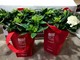 Roppolo: Da questa mattina le gardenie di AISM per la ricerca contro la Sclerosi Multipla Roppolo: Da questa mattina le gardenie di AISM per la ricerca contro la Sclerosi Multipla