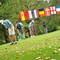 Golf, a Le Betulle torna l’International Under 16: oltre 160 richieste da 22 Paesi Golf, a Le Betulle torna l’International Under 16: oltre 160 richieste da 22 Paesi