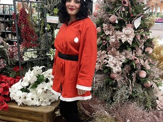 Il Natale prende forma da Gardenville Il Natale prende forma da Gardenville