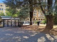 Biella, Lega: "Più controlli ai Giardini Zumaglini con la vigilanza rafforzata" Biella, Lega: "Più controlli ai Giardini Zumaglini con la vigilanza rafforzata"