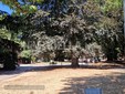 Biella, Lega: "Più controlli ai Giardini Zumaglini con la vigilanza rafforzata" Biella, Lega: "Più controlli ai Giardini Zumaglini con la vigilanza rafforzata"