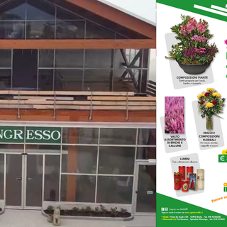 Gardenville: la città dei fiori celebra Ognissanti con offerte dedicate Gardenville: la città dei fiori celebra Ognissanti con offerte dedicate