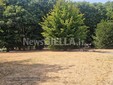 Biella, Giardini Vittorio Emanuele II poco sicuri per caduta rami, scatta la chiusura Biella, Giardini Vittorio Emanuele II poco sicuri per caduta rami, scatta la chiusura