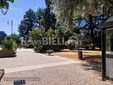 Biella, Lega: "Più controlli ai Giardini Zumaglini con la vigilanza rafforzata" Biella, Lega: "Più controlli ai Giardini Zumaglini con la vigilanza rafforzata"
