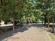 Biella, Lega: "Più controlli ai Giardini Zumaglini con la vigilanza rafforzata" Biella, Lega: "Più controlli ai Giardini Zumaglini con la vigilanza rafforzata"