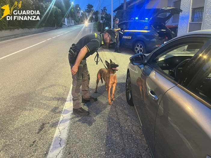 Guardia di Finanza, a Biella controlli antidroga: sequestrati oltre 130 grammi di sostanze stupefacenti