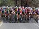 Coppa Piemonte 2025: inaugura la stagione la Granfondo Città di Loano - Foto di F. Ossola. Coppa Piemonte 2025: inaugura la stagione la Granfondo Città di Loano - Foto di F. Ossola.