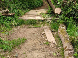 Gorgomoro, sentiero di nuovo accessibile dopo l’intervento dei volontari AIB Biella Orso FOTO AIB Biella Orso