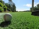 Cerrione: Sabato 10 settembre open day gratuito al Golf Club Il Mulino Cerrione: Sabato 10 settembre open day gratuito al Golf Club Il Mulino