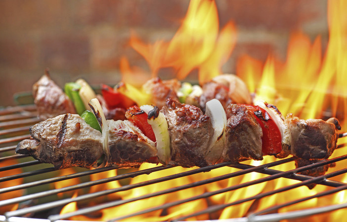 Barbecue vicino al bosco, sei persone multate a Occhieppo Superiore Barbecue vicino al bosco, sei persone multate a Occhieppo Superiore